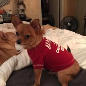 Meet your Posher, Terri